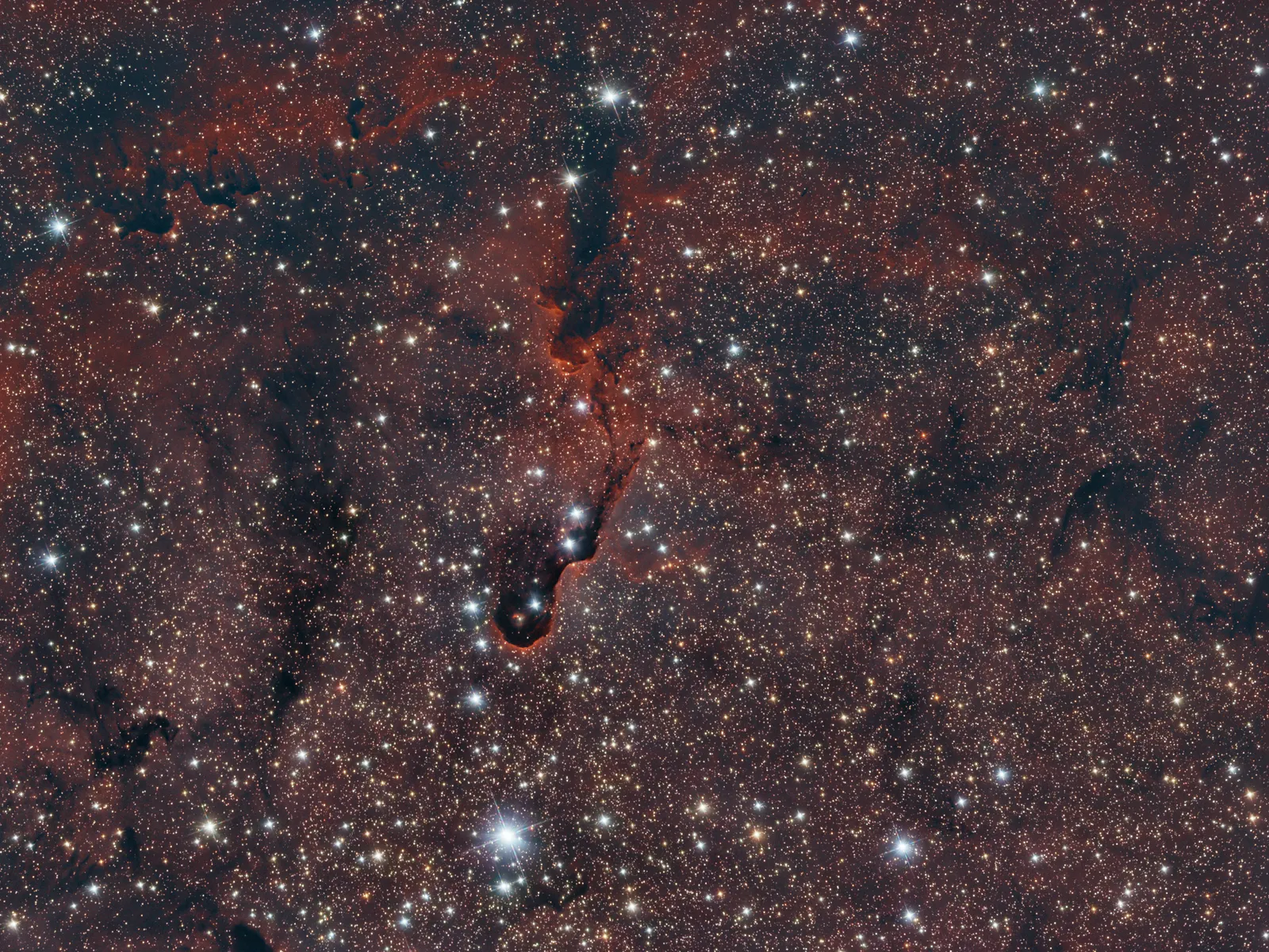 IC 1396A (Elephant's Trunk)