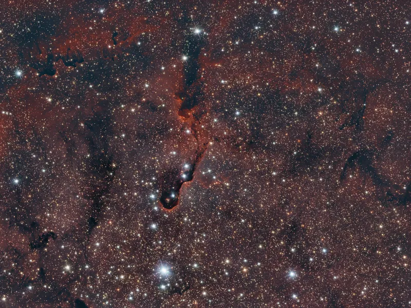 IC 1396A (Elephant's Trunk)